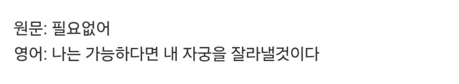 해외에서 불타고있는 게임 영어번역.jpg_8.webp