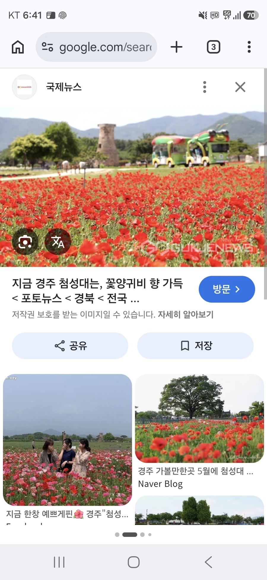 관광지에서 대놓고 양귀비 키우는곳_3.webp
