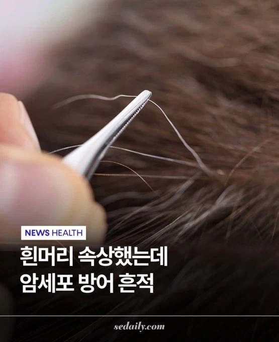 흰머리는 암세포 방어 흔적이다_1.webp