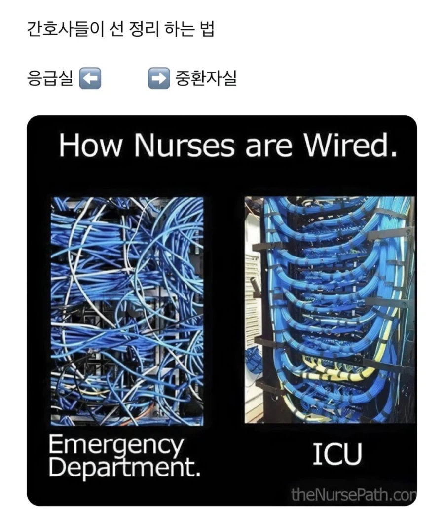 응급실 간호사 vs 중환자실 간호사.jpg_1.webp