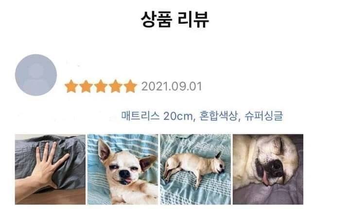 신뢰가는 매트리스 후기.jpg_1.webp