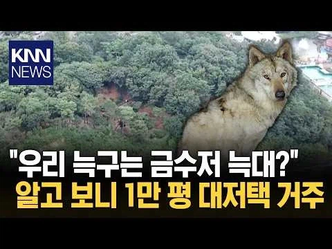 늑구 밥그릇 걱정하는게 웃긴이유!!_1.webp