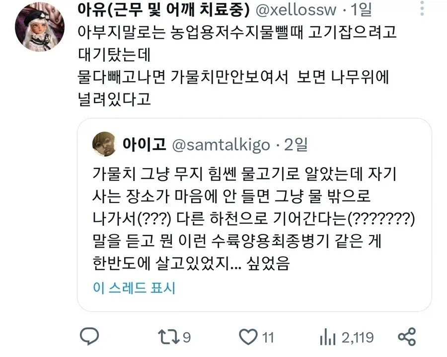 한반도 수륙양용 최종병기생물.jpg_2.webp