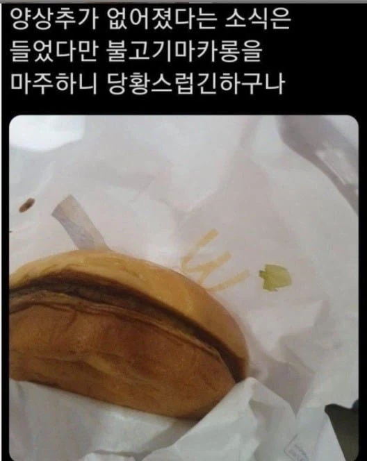 햄버거의 마카롱화에 대항할 유일한 수단은_1.webp