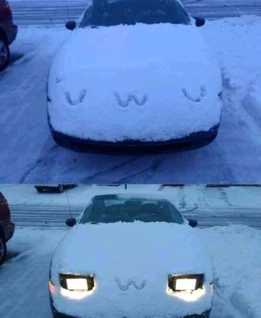 UwU 》□w□_1.webp