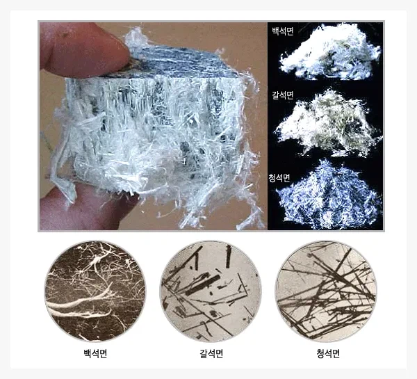 인류의 역사를 바꿀수 있었던 신의 물질.JPG_2.webp