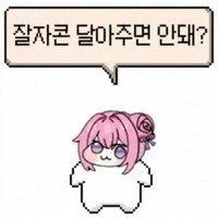짤녀 꼴리면 자러감_2.webp