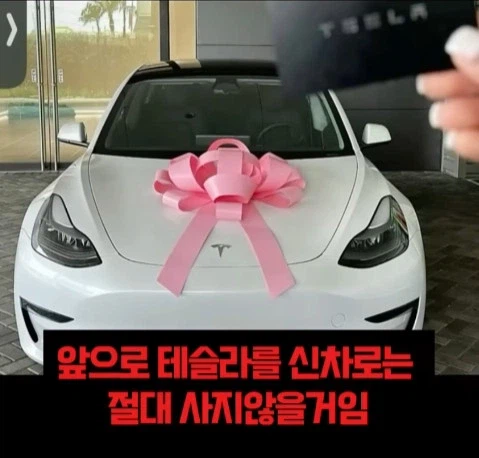테슬라 사다 현타왔다는 테슬라 오너_3.webp