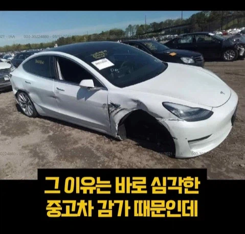 테슬라 사다 현타왔다는 테슬라 오너_4.webp