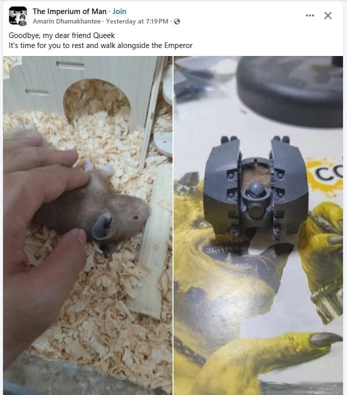 워헤머) 판이 정상인 아닌....이유이자 ......돌았 ㅋㅋㅋㅋㅋㅋ_1.webp