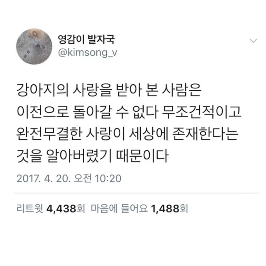 강아지에게 받는 완전무결한 사랑_1.webp