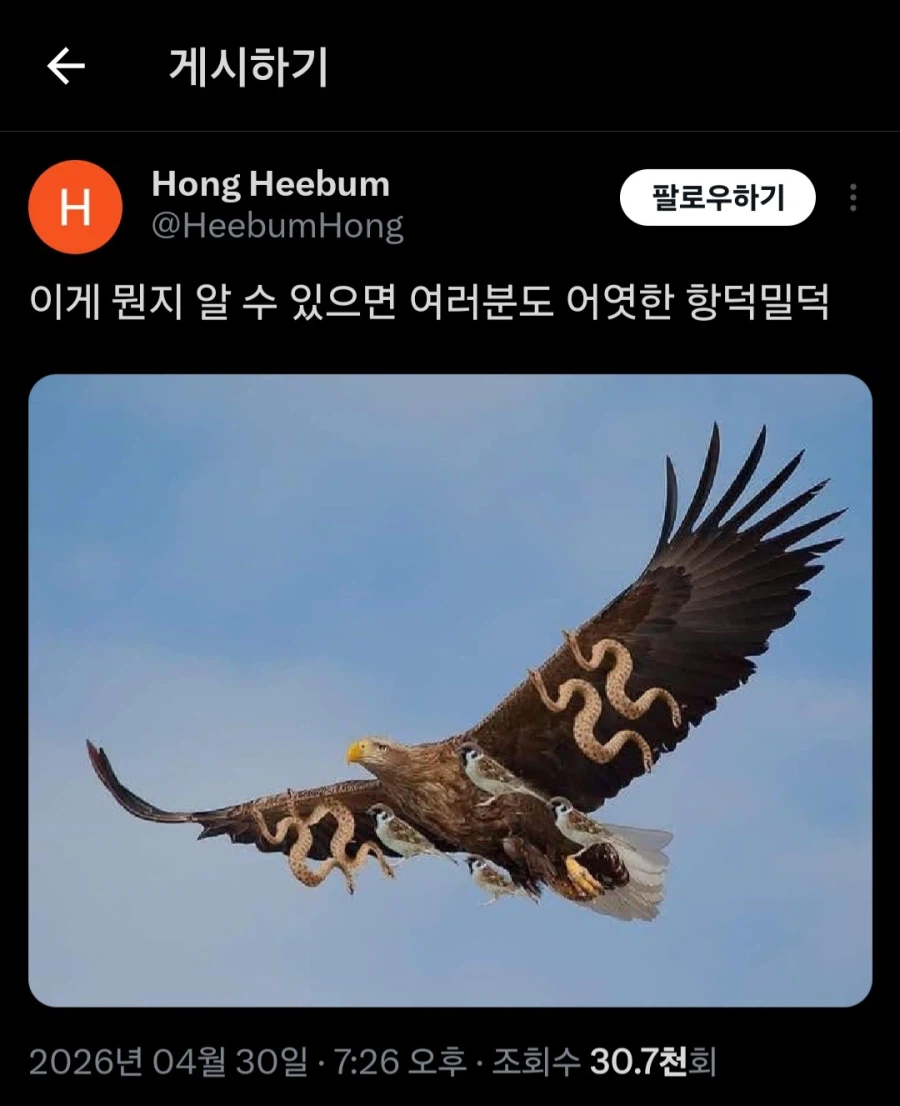 이걸 알아볼 수 있으면 당신도 항공 밀덕_1.webp