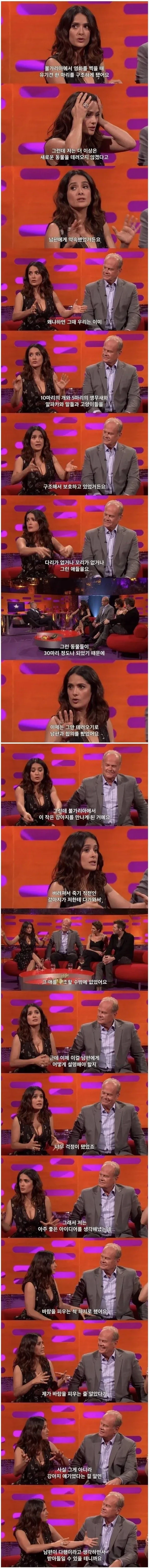 여보 미안해... 너무 외로워서 그랬어_1.webp