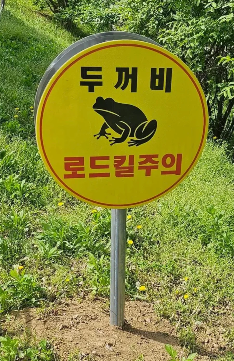 서울에만 있다는 표지판_1.webp