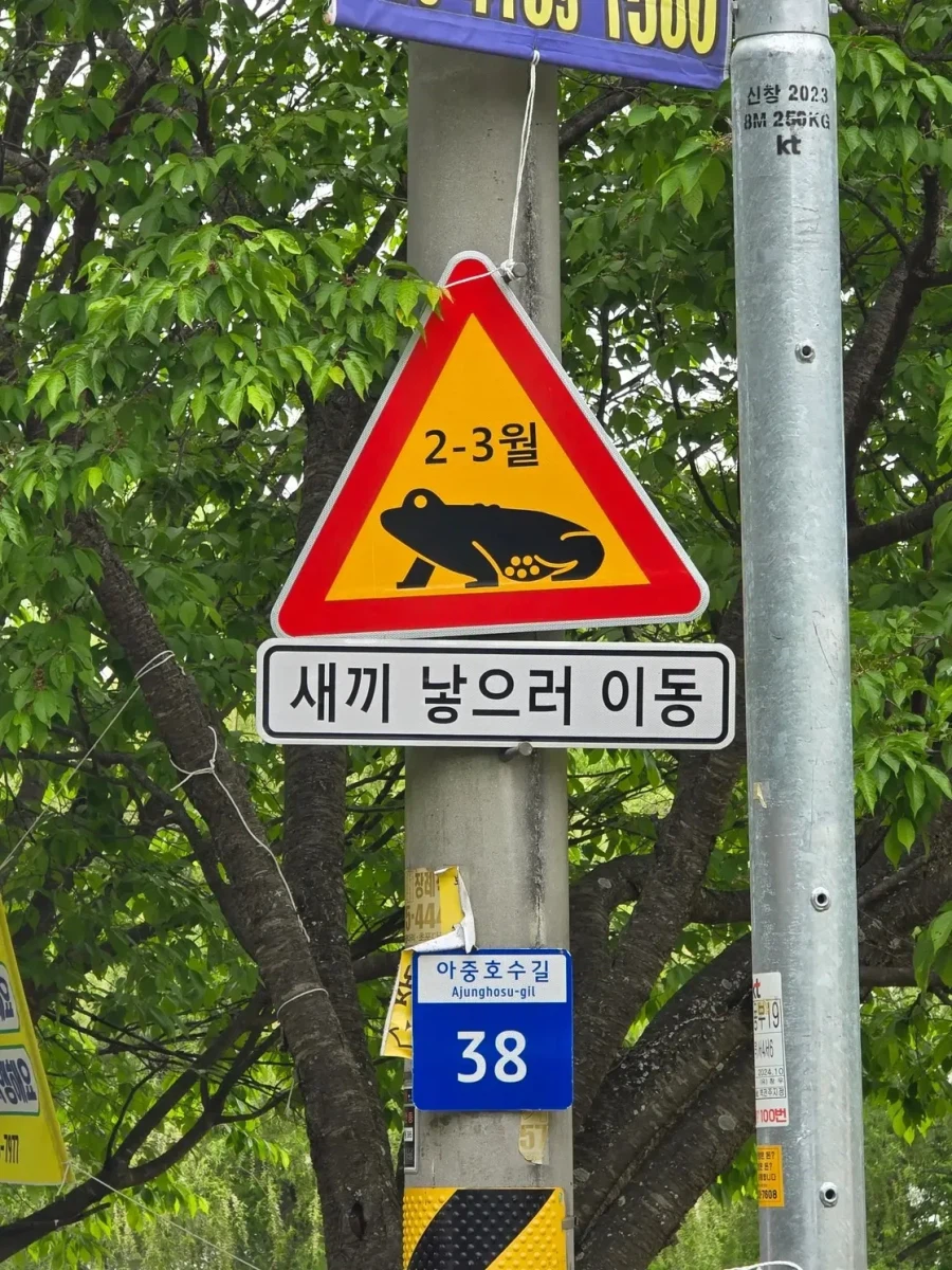 서울에만 있다는 표지판_2.webp