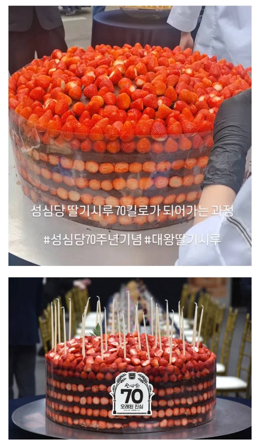 성심당 70주년 딸기시루 70kg짜리 공개_1.webp
