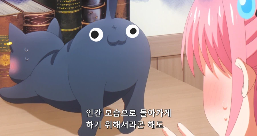 블랙 포치타_1.webp