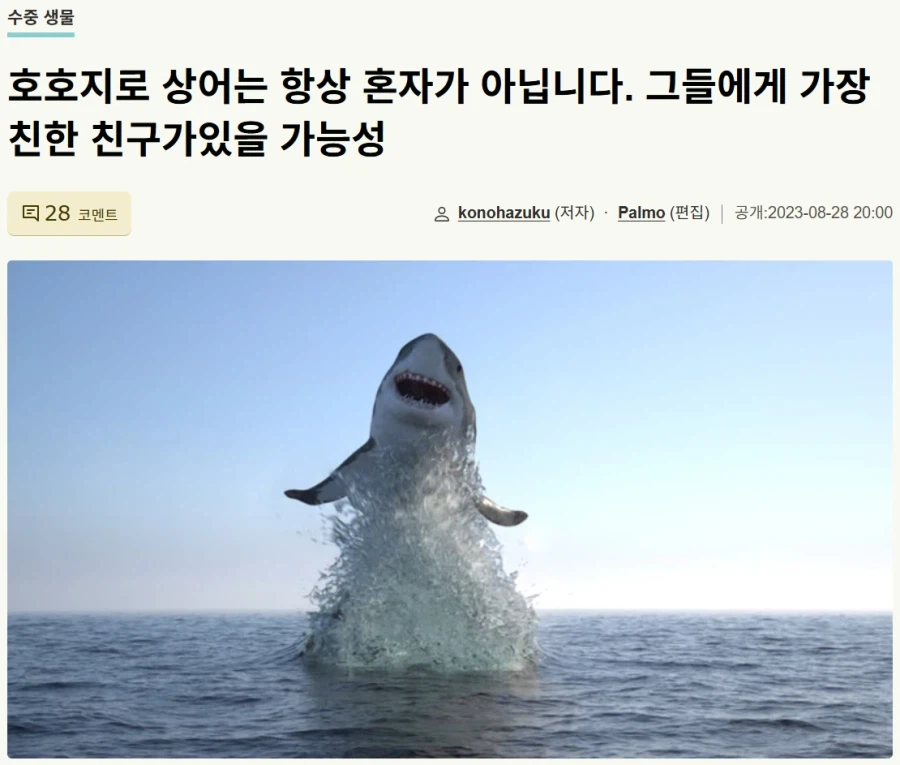 백상아리의 충격적인 사실.fact_1.webp
