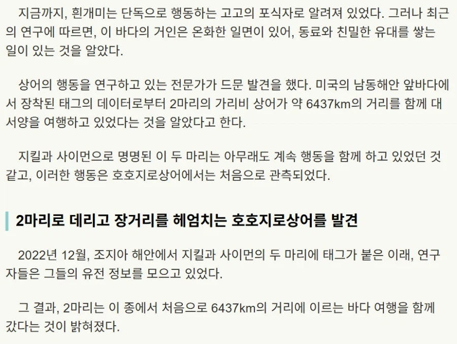 백상아리의 충격적인 사실.fact_2.webp