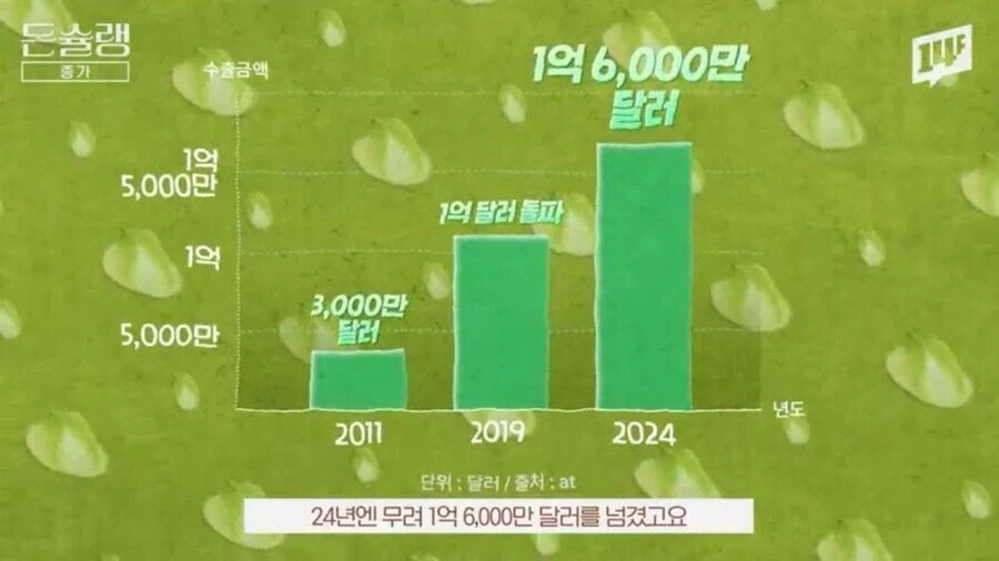 미국인한테 김치 먹을래? 했던 효과가 나옴.jpg_6.webp