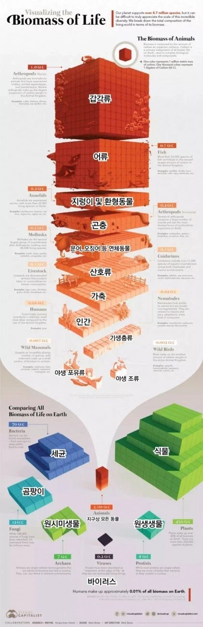 무게 기준 세상에서 가장 많은 생물.jpg_1.webp