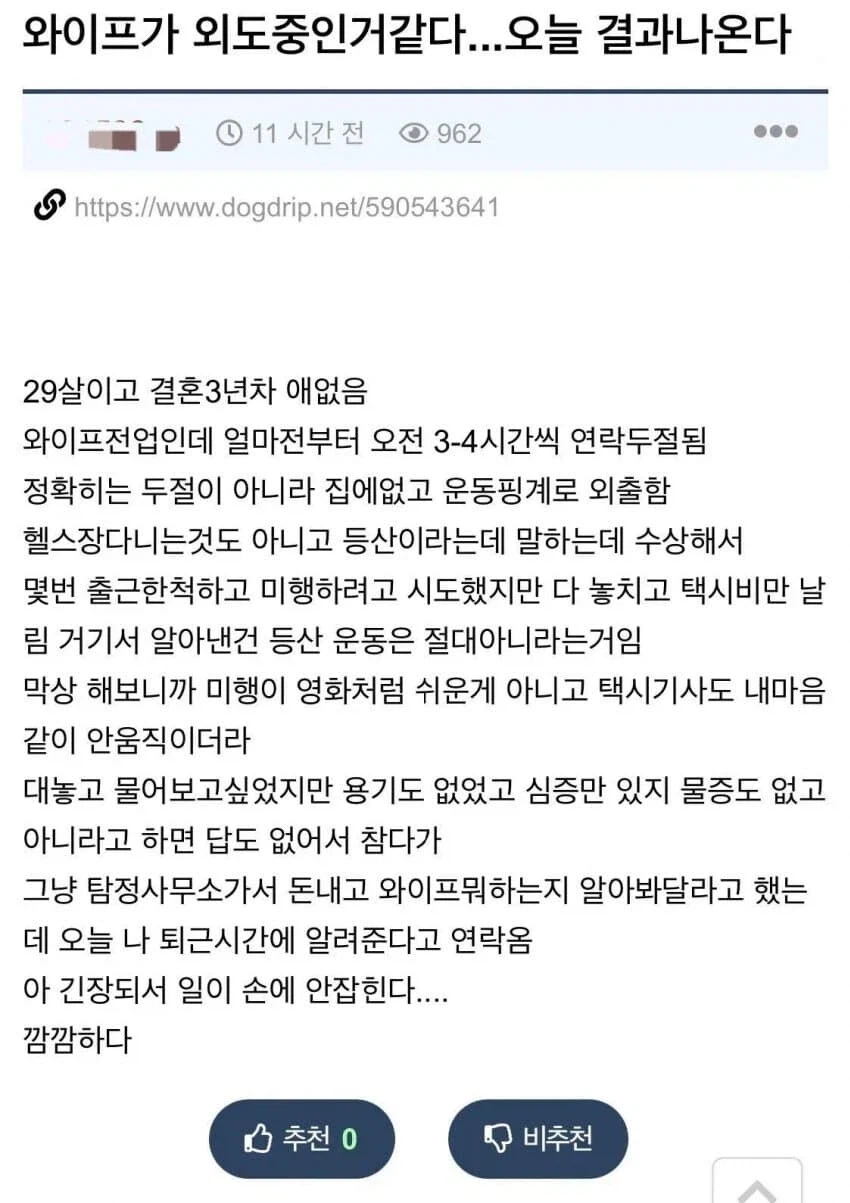와이프의 불륜을 의심해서 탐정 고용한 남자.jpg_1.webp