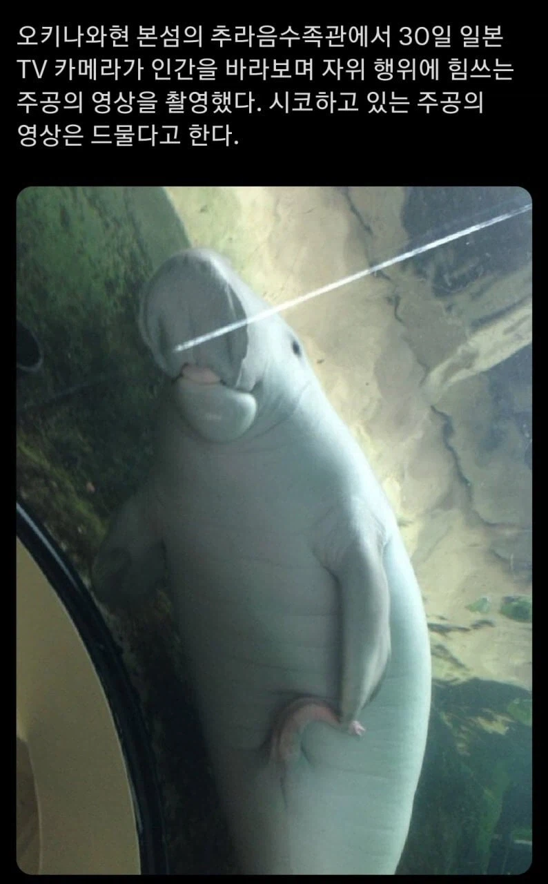 듀공의 의외의 면모_1.webp