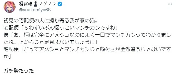 고양이한테 진심인 택배 기사.jpg_1.webp