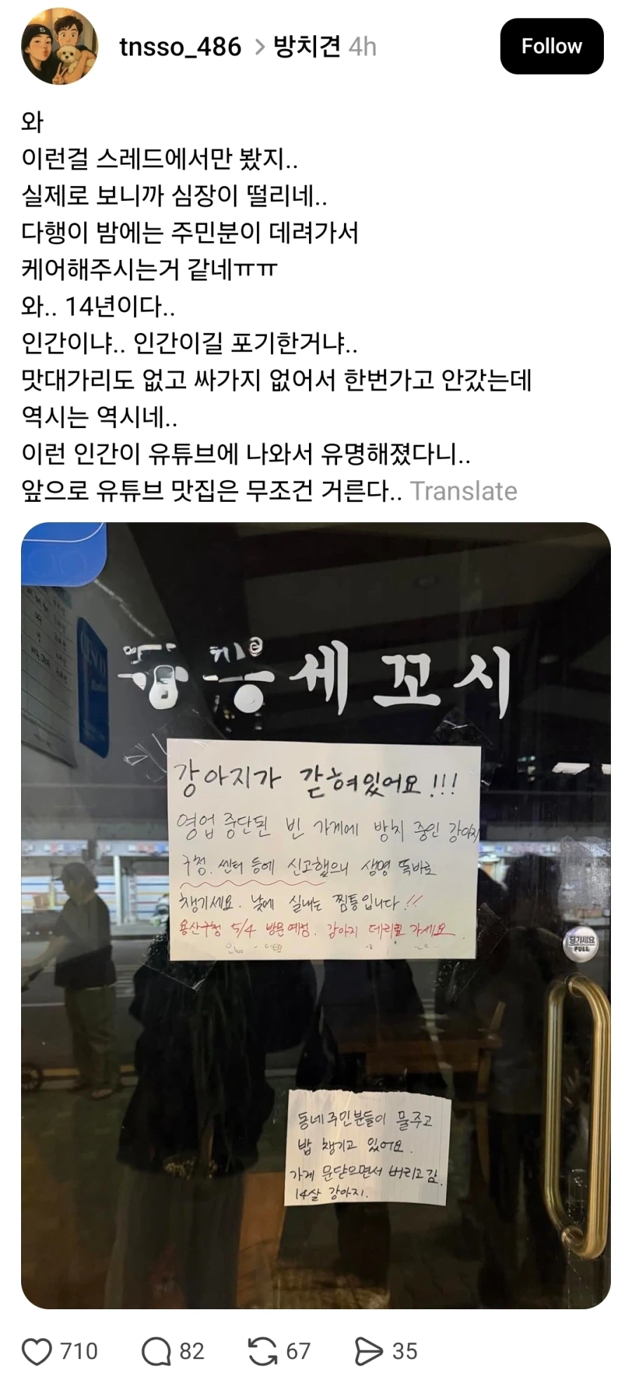 14살 노견 버리고 간 식당 주인_1.webp