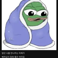 무조건 진짜 좋은 여자 만나서 결혼할 것 같은 디씨인