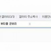 다크소울) "1회차 보디가드 해달라던 플린이봐라"