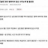"뱀파이어 임신공장이 생각보다 성능픽임"