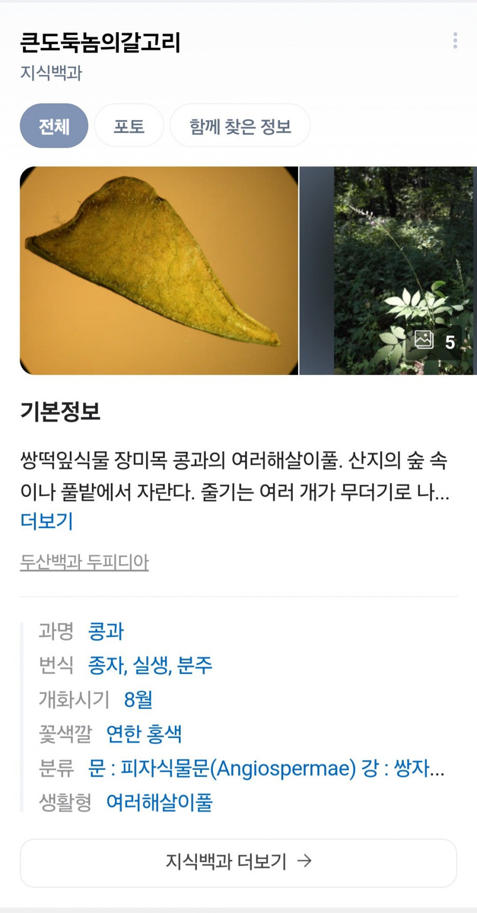 1000106520.jpg 홧김에 지은 식물 이름..jpg