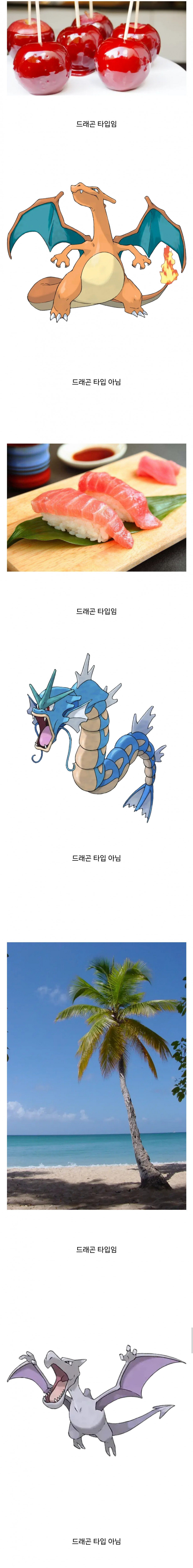 포켓몬식 드래곤 타입_1.jpg