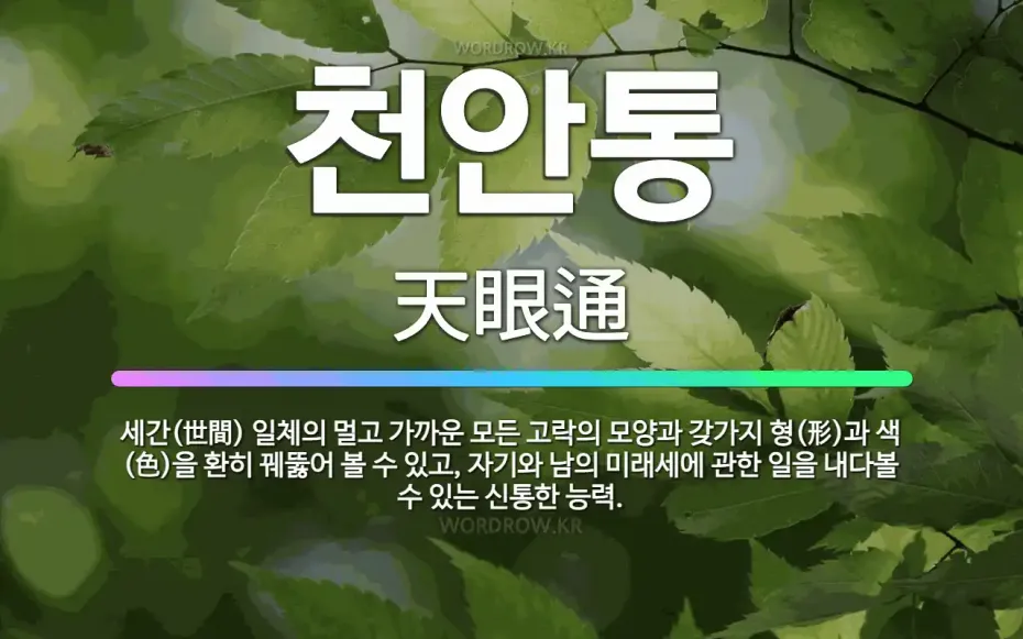 천안통: 세간(世間) 일체의 멀고 가까운 모든 고락의 모양과 갖가지 형(形)과 색(色)을 환히 꿰뚫어 볼... - 표준국어대사전