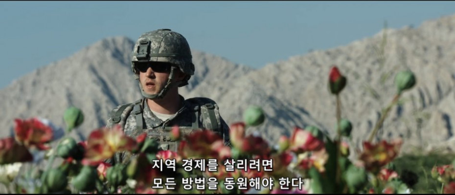 q1.PNG
