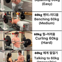 쉬움 - 보통 - 어려움 - 쉽지 않음