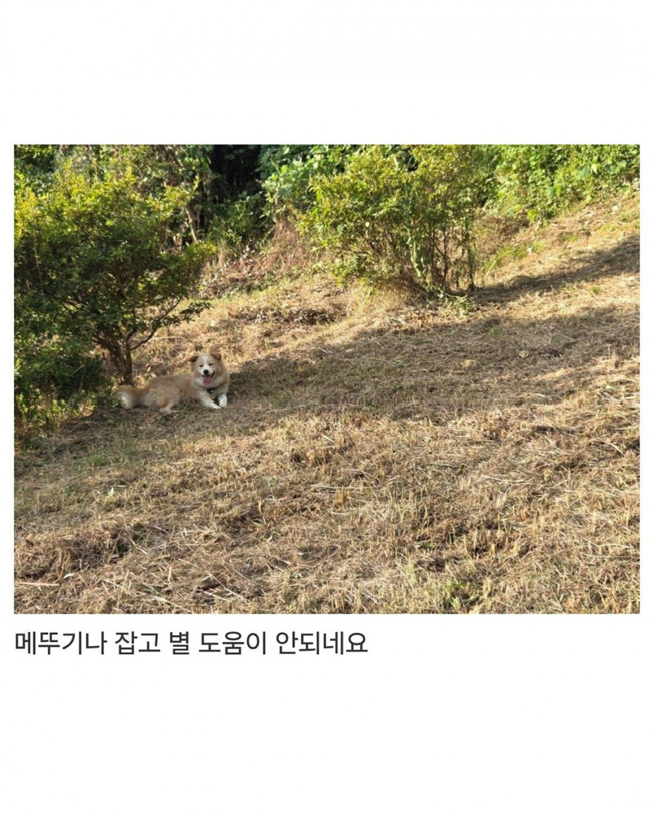 부하랑 벌초 조졌네요 ㄷㄷㄷ.jpg