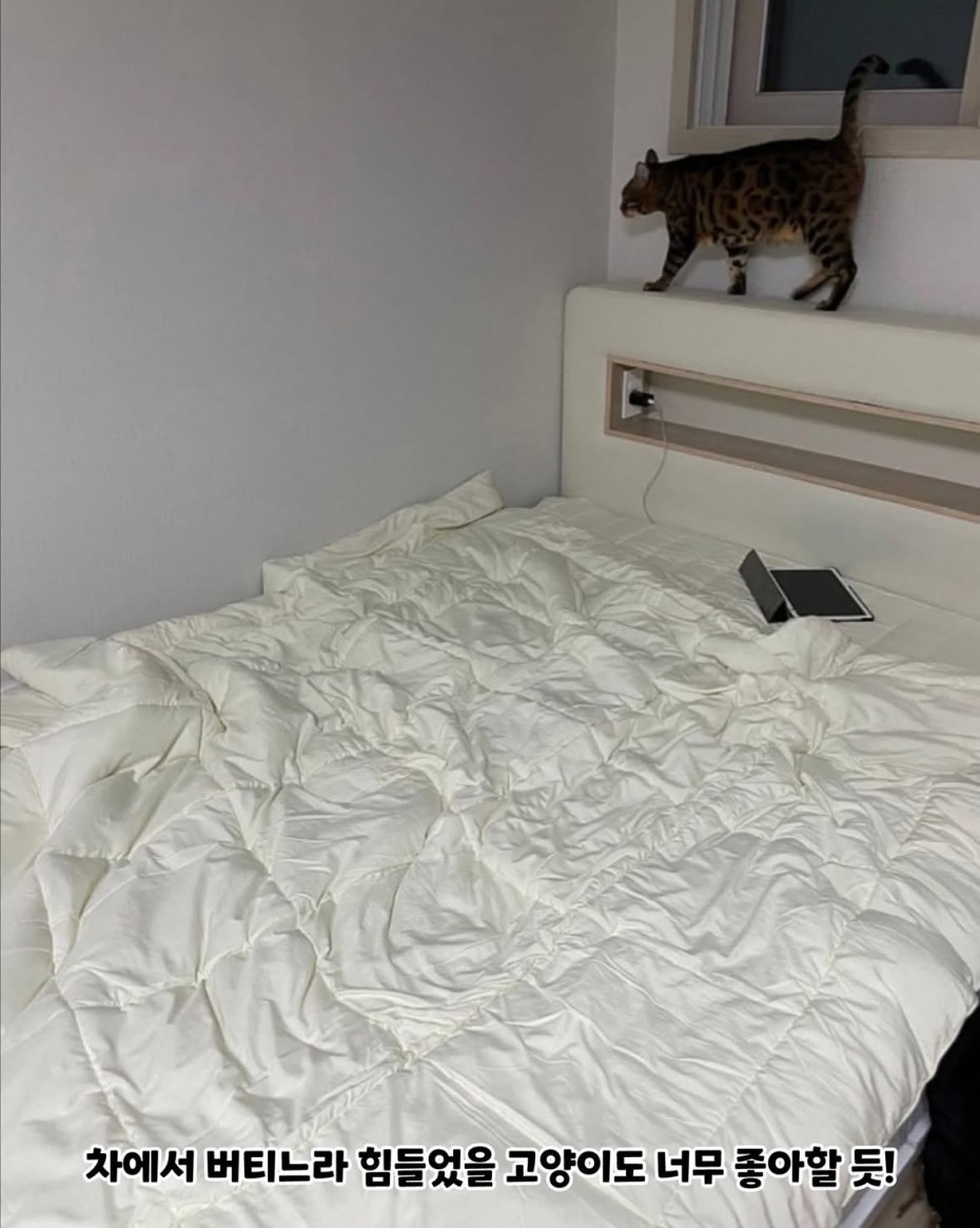 IMG_7264.jpeg 전세사기 당한 후 차에서 1년 살고, 새 집 입주함...ㄷㄷ