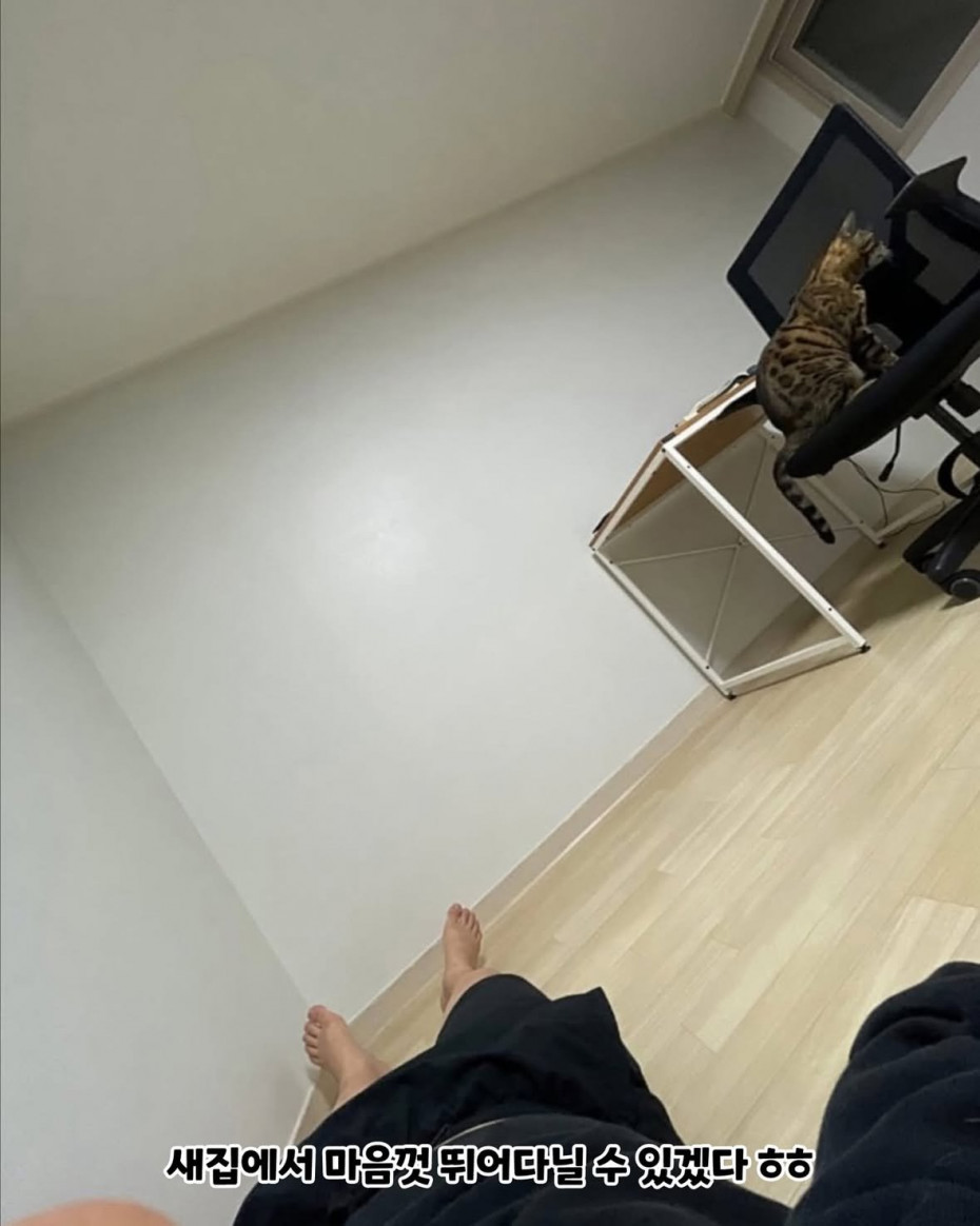 IMG_7265.jpeg 전세사기 당한 후 차에서 1년 살고, 새 집 입주함...ㄷㄷ