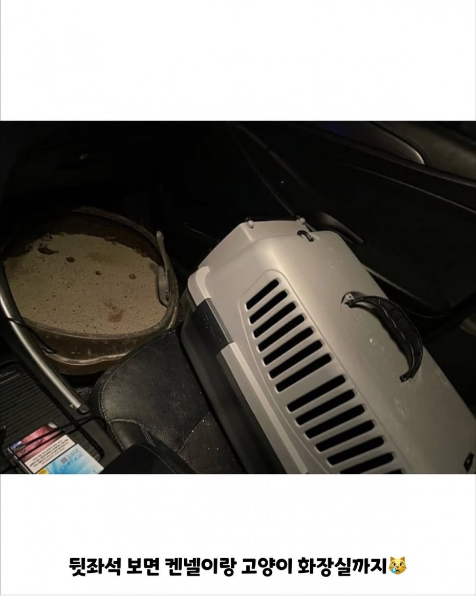 IMG_7262.jpeg 전세사기 당한 후 차에서 1년 살고, 새 집 입주함...ㄷㄷ