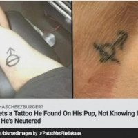 훈훈한 저주받은 문신