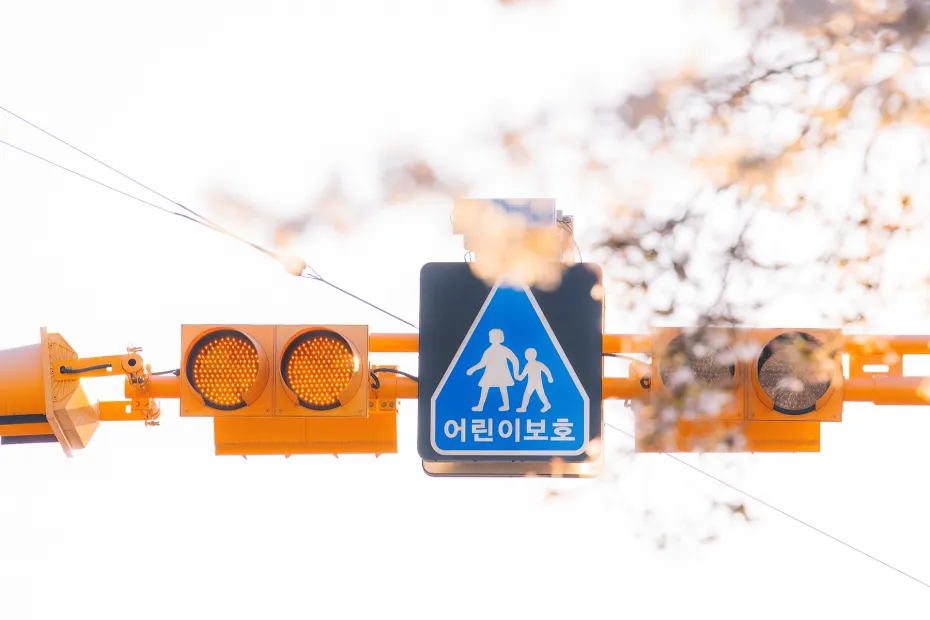 전 여친이랑 꽃 구경 갔는데 사람들이 자꾸 쳐다봄_3.webp