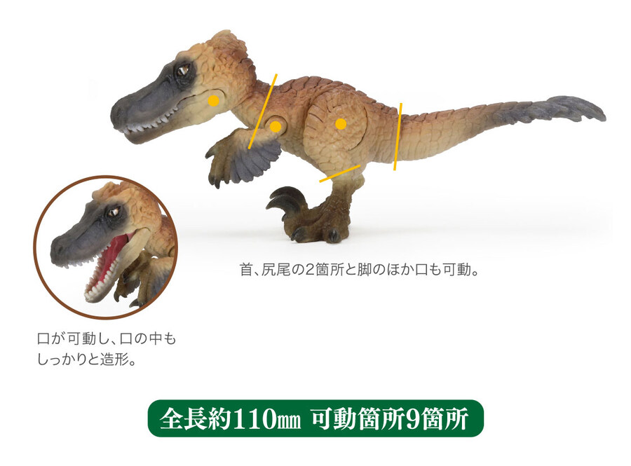 [반다이가샤폰] 생물대도감 레쁘띠 공룡3_14.jpg