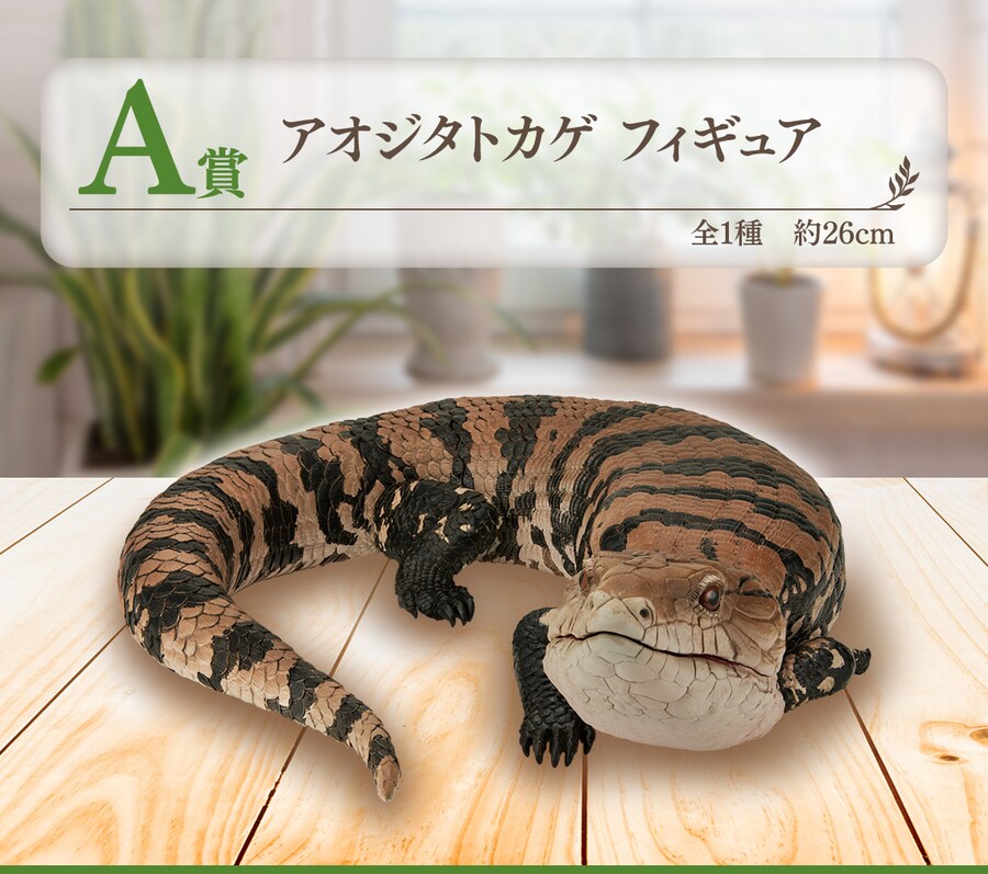 [이치방쿠지][8/21]파충류&양서류-TINY FRIENDS-VOL.2한국발매_2.png