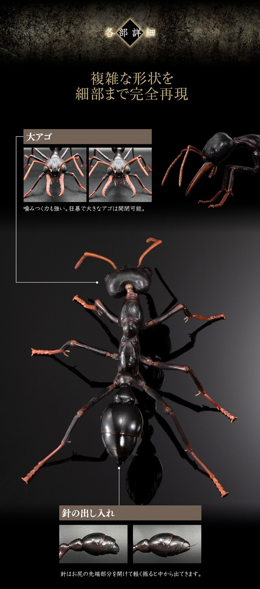 [반다이가샤폰] 생물대도감 어드밴스 불독 개미_3.jpg