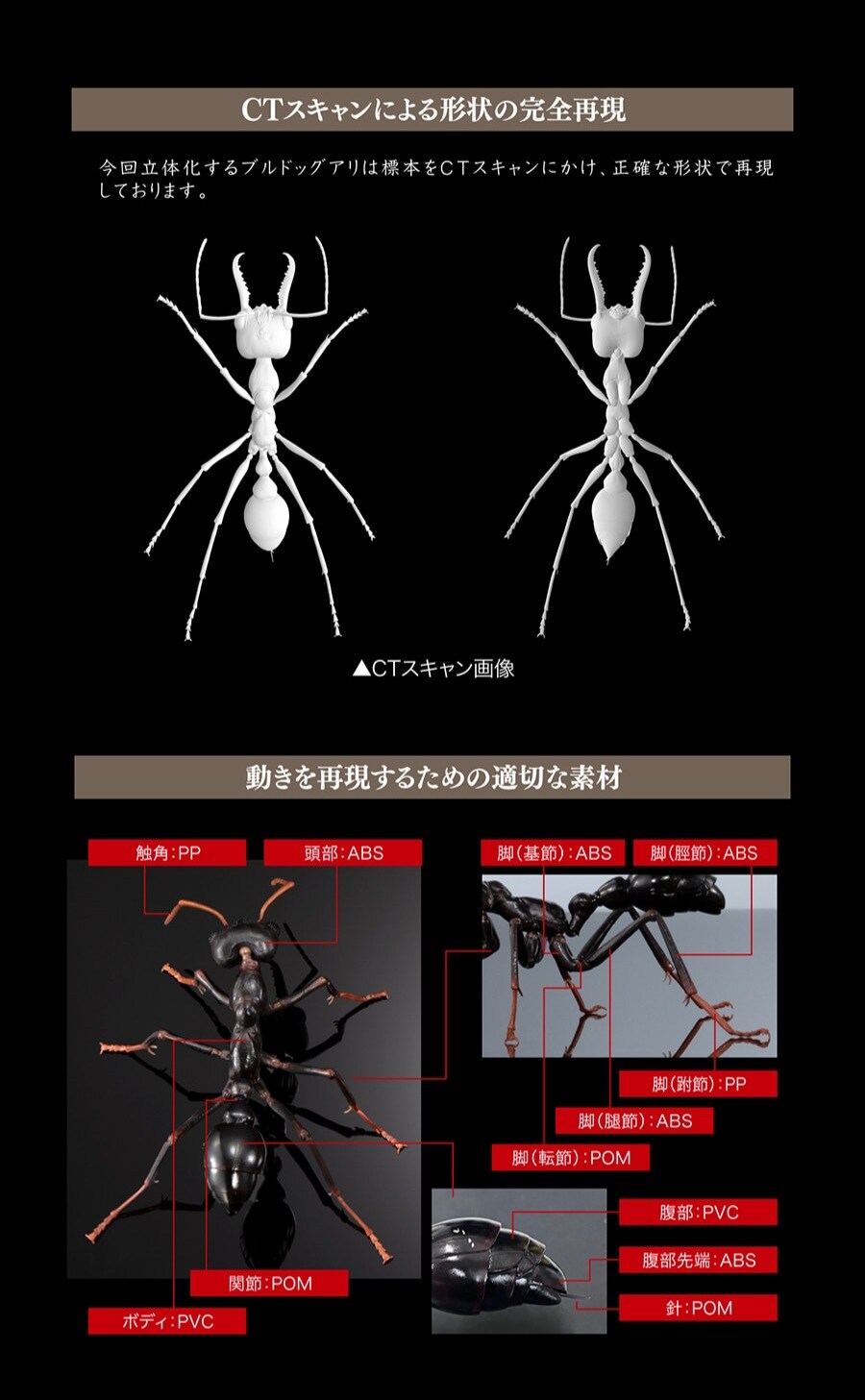 [반다이가샤폰] 생물대도감 어드밴스 불독 개미_4.jpg