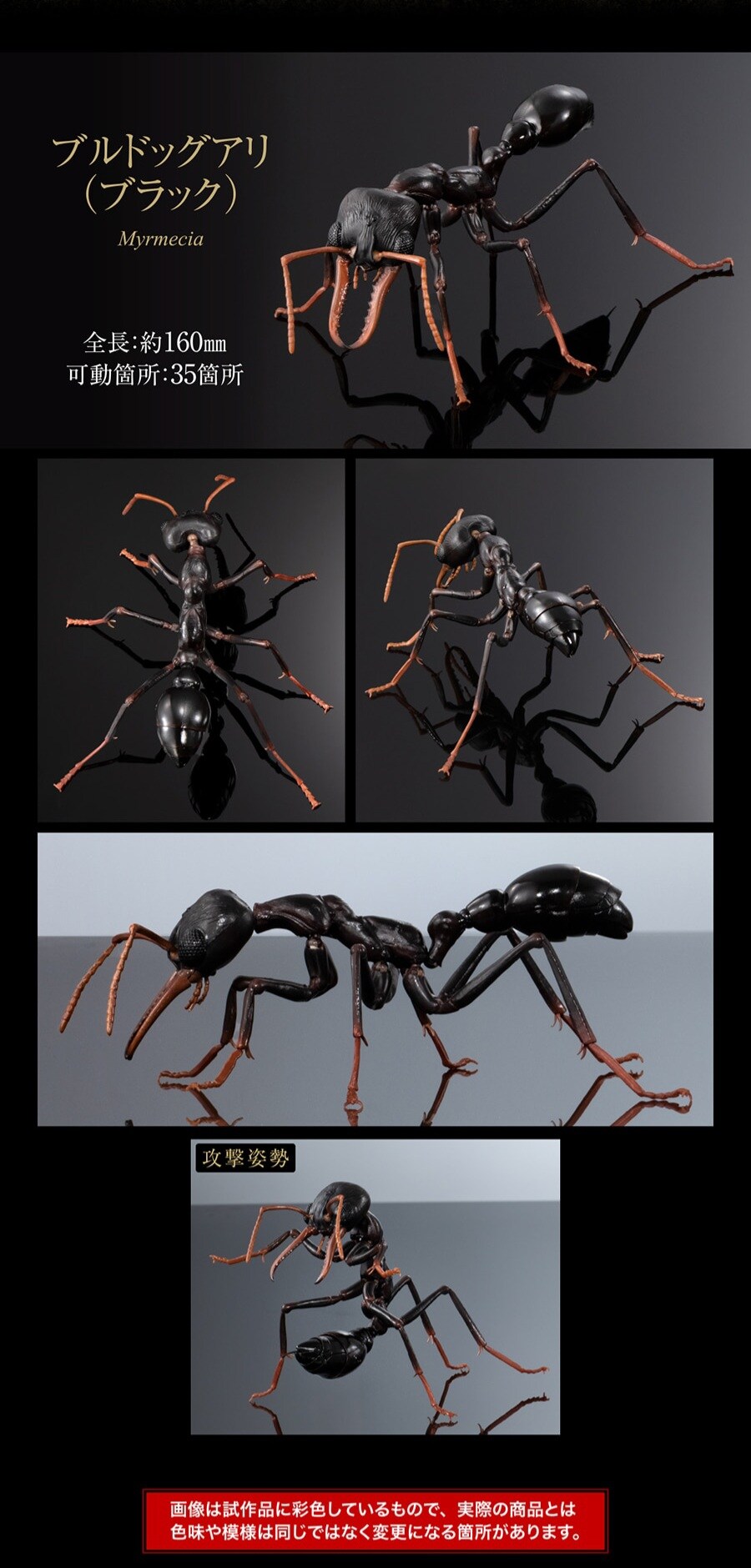 [반다이가샤폰] 생물대도감 어드밴스 불독 개미_5.jpg