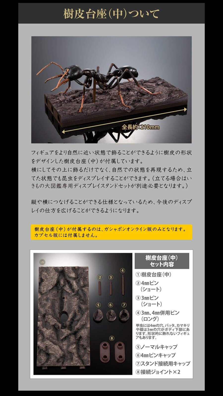 [반다이가샤폰] 생물대도감 어드밴스 불독 개미_11.jpg