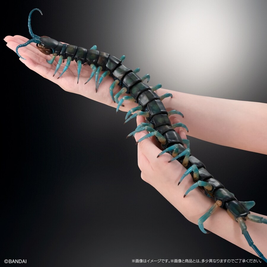 [반다이가샤폰] 생물대도감 얼티밋 3탄 류진 왕지네_7.jpg